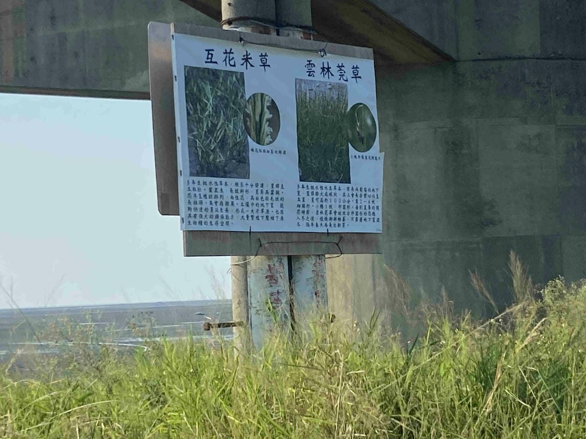 卷木生活館.生態小旅行 (2).jpg 卷木生活館.生態小旅行 (2).jpg