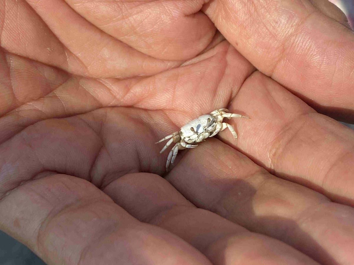 IMG_0476_副本.jpg IMG_0476_副本.jpg