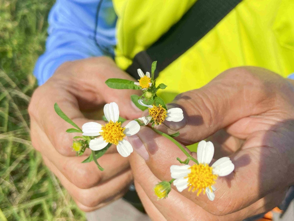 IMG_0463_副本.jpg IMG_0463_副本.jpg