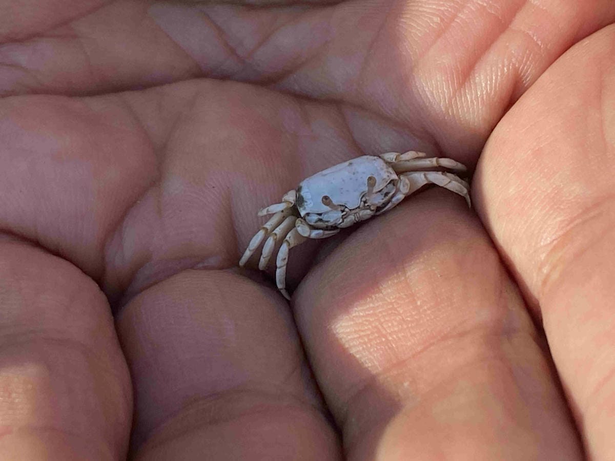 IMG_0480_副本.jpg IMG_0480_副本.jpg