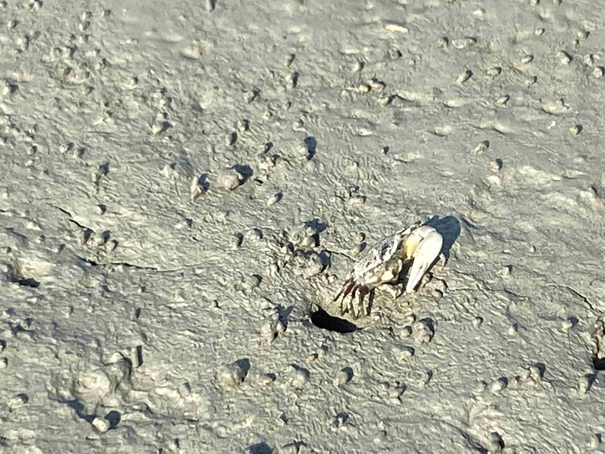 卷木生活館.生態小旅行 (1).jpg 卷木生活館.生態小旅行 (1).jpg