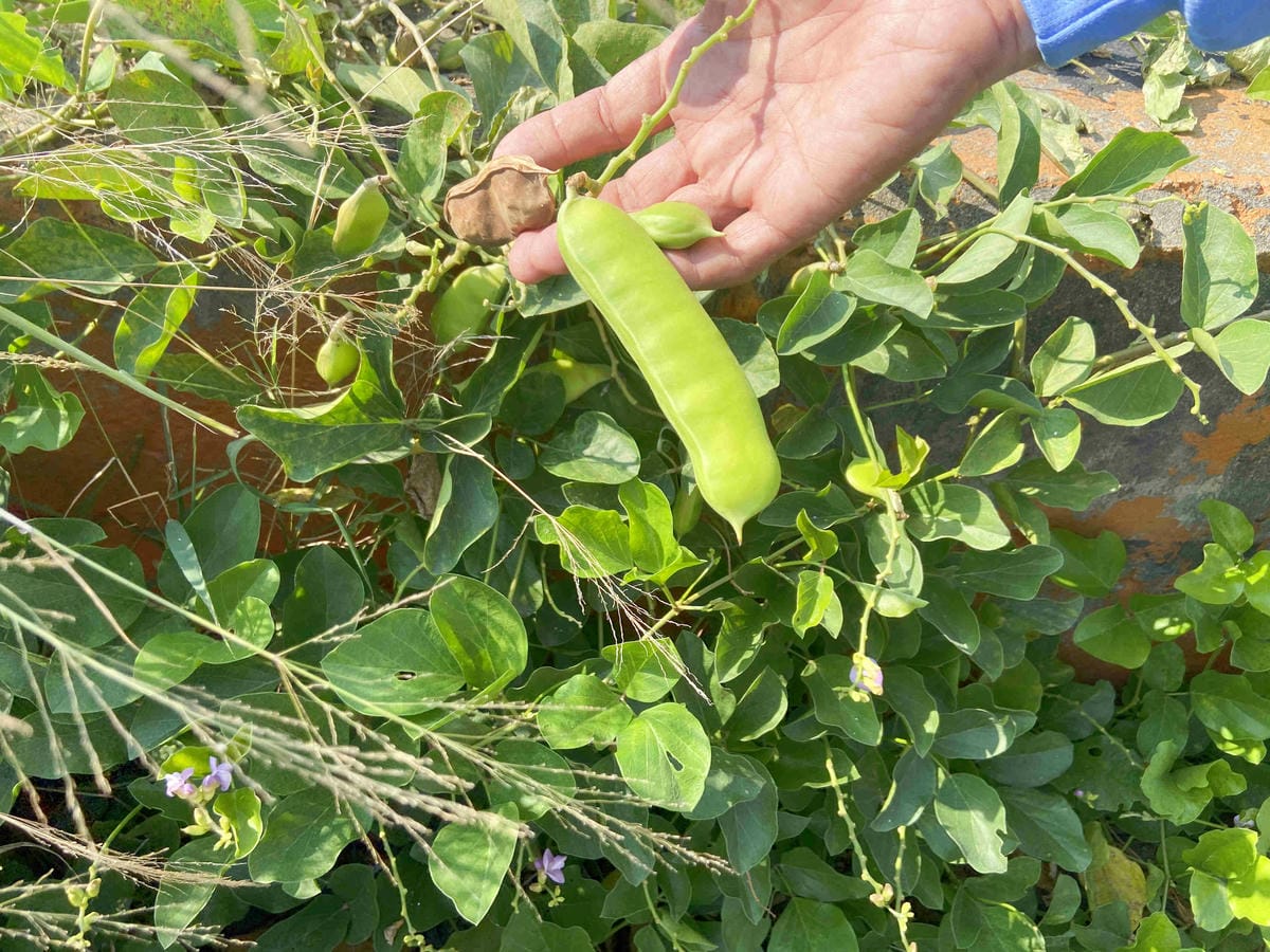 IMG_0464_副本.jpg IMG_0464_副本.jpg