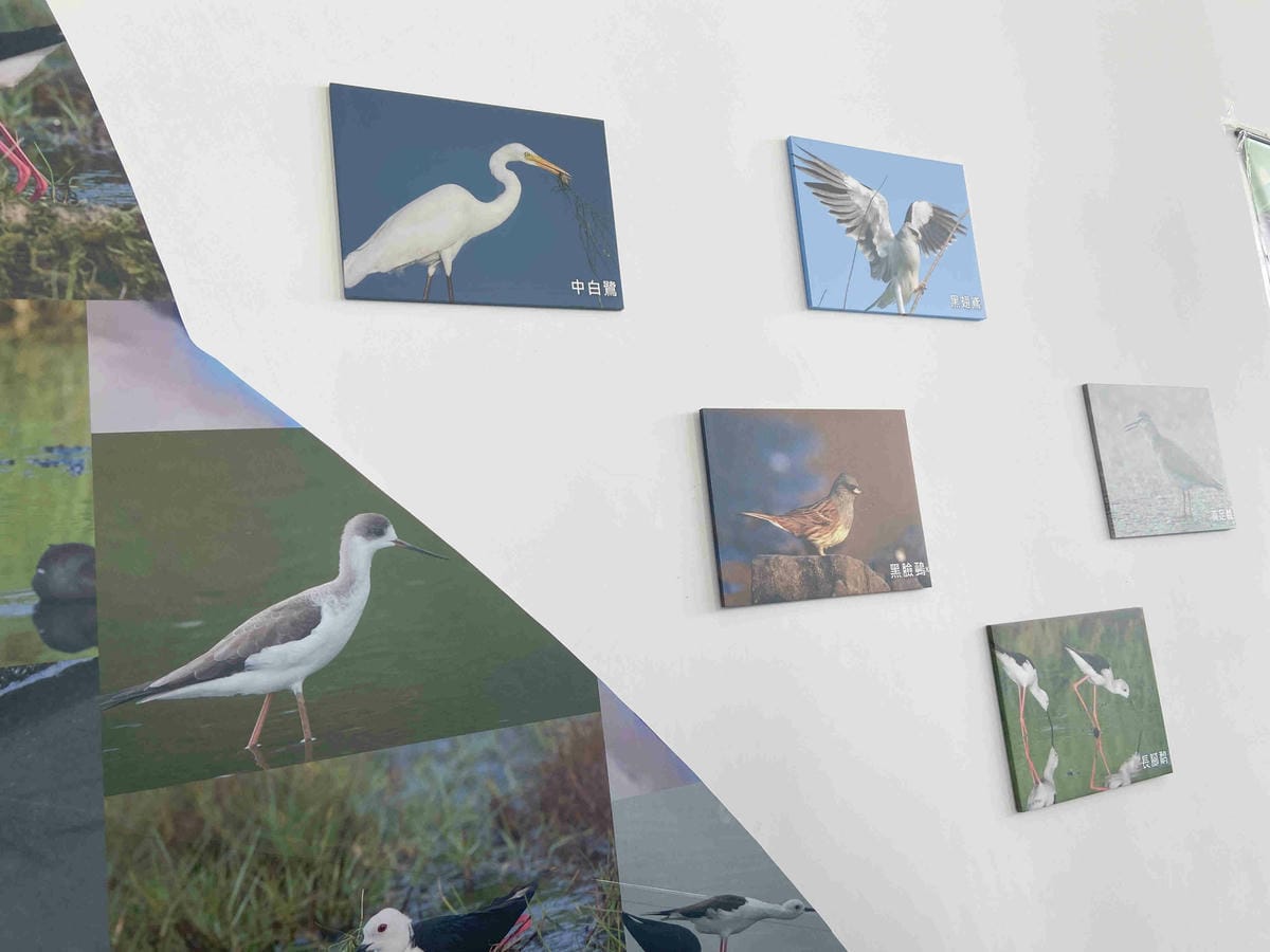 IMG_0443_副本.jpg IMG_0443_副本.jpg