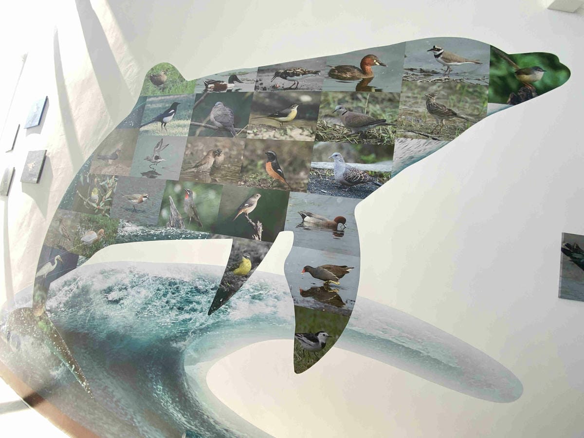 IMG_0449_副本.jpg IMG_0449_副本.jpg