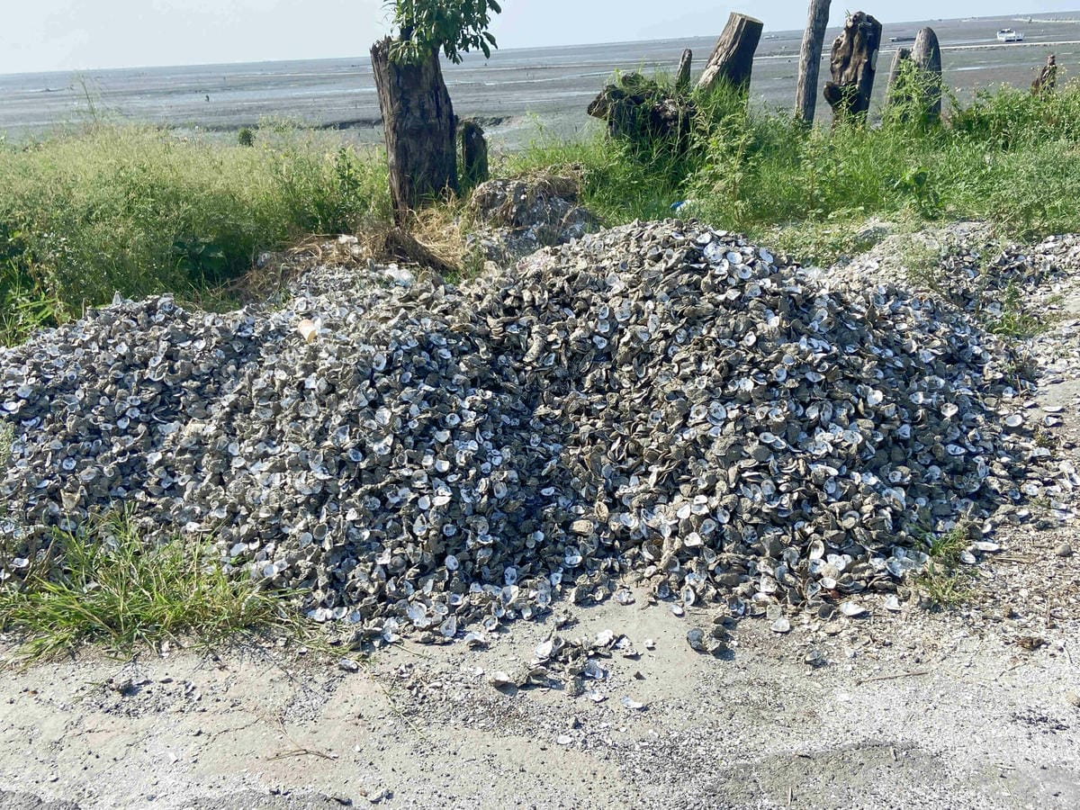 IMG_0470.jpg IMG_0470.jpg