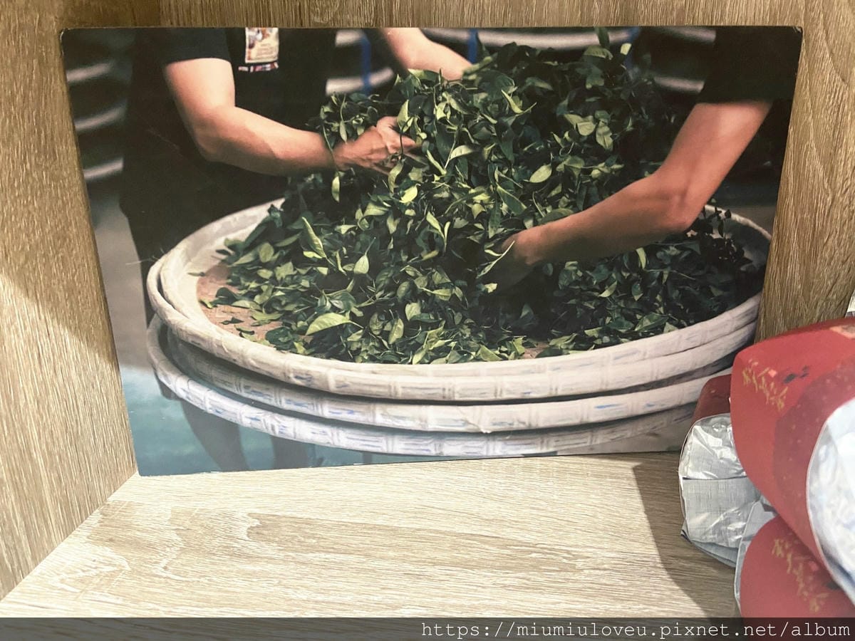 IMG_2062_副本.jpg IMG_2062_副本.jpg