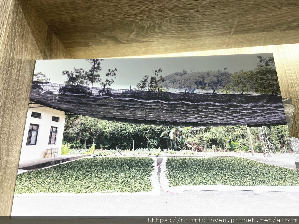 IMG_2063_副本.jpg IMG_2063_副本.jpg