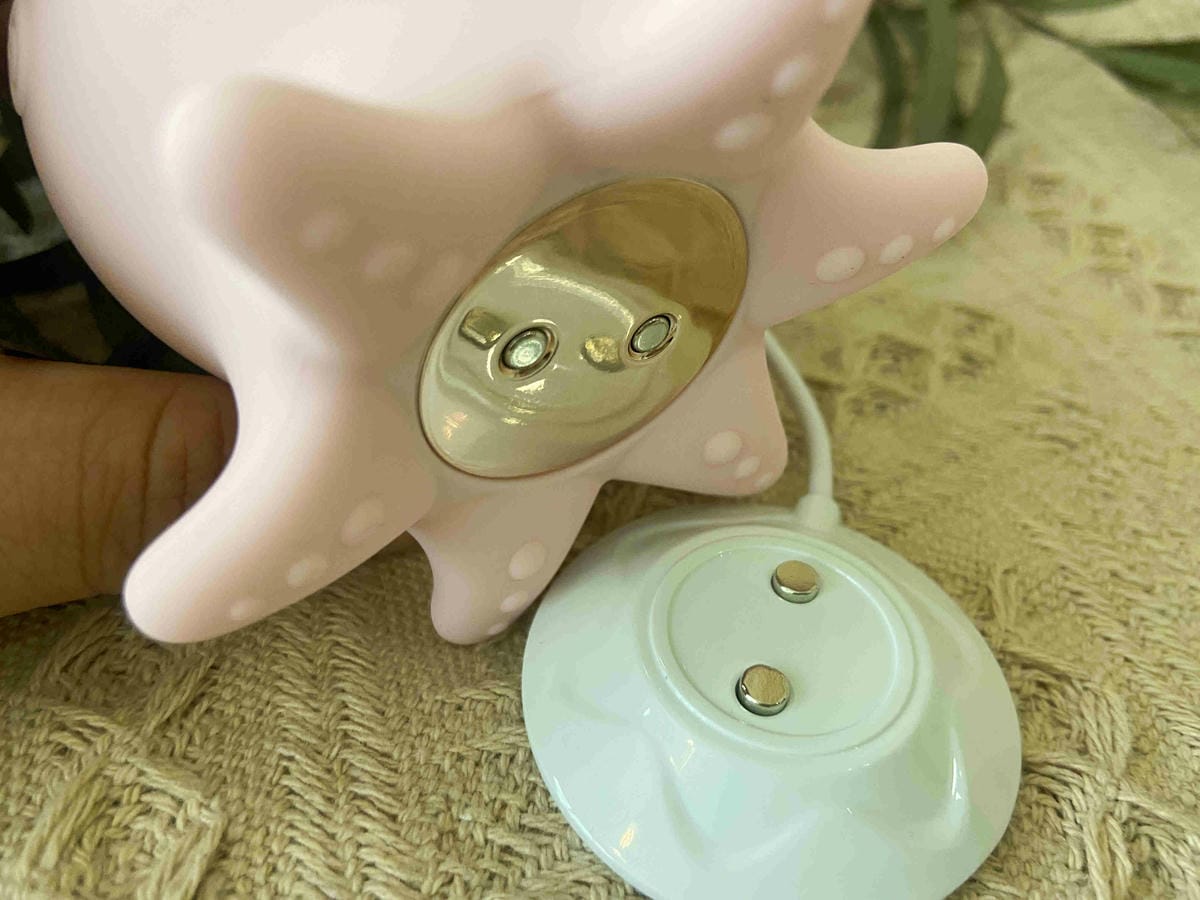 小海君 (18).jpg 小海君 (18).jpg