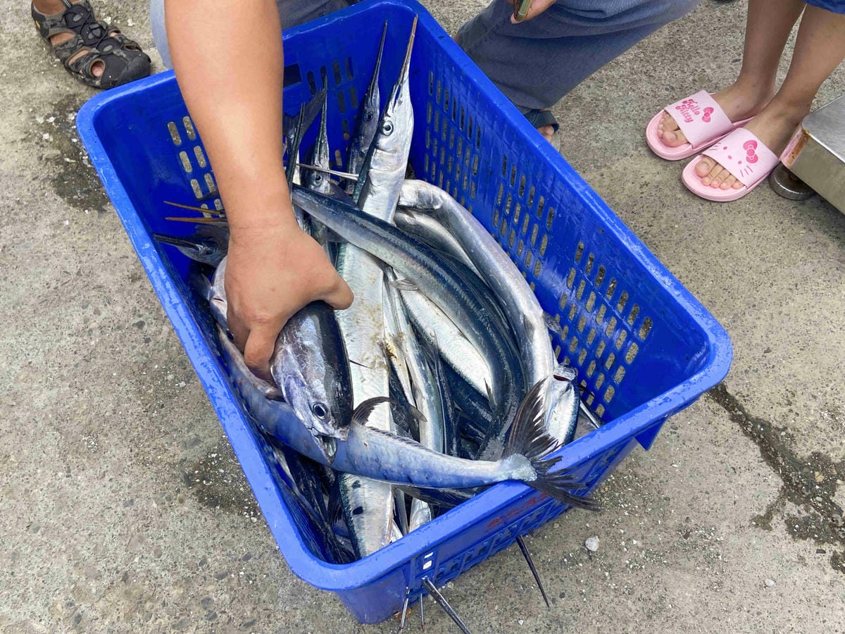 泰雅部落.金岳部落 (71).jpg 泰雅部落.金岳部落 (71).jpg