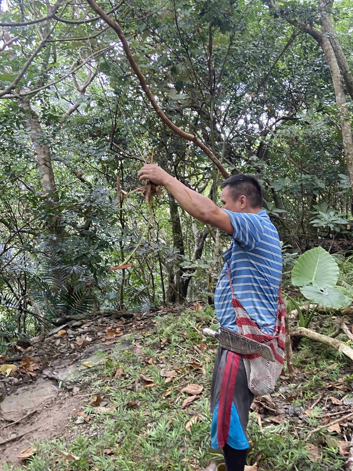 泰雅部落.金岳部落 (29).jpg 泰雅部落.金岳部落 (29).jpg