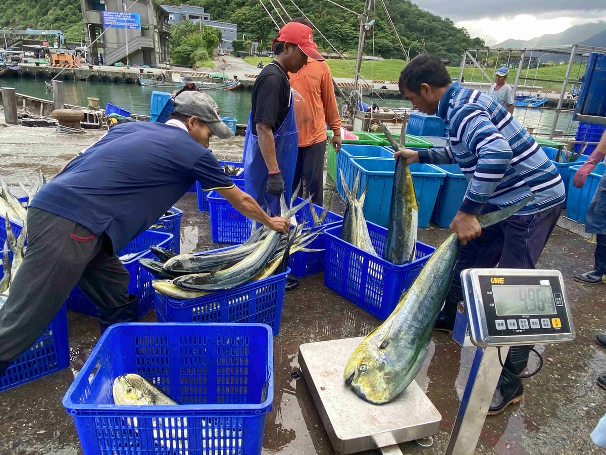 泰雅部落.金岳部落 (79).jpg 泰雅部落.金岳部落 (79).jpg