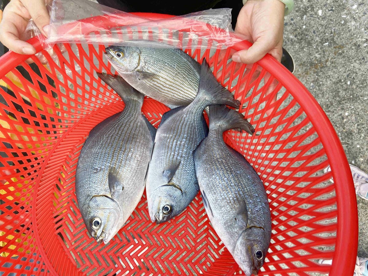 泰雅部落.金岳部落 (84).jpg 泰雅部落.金岳部落 (84).jpg