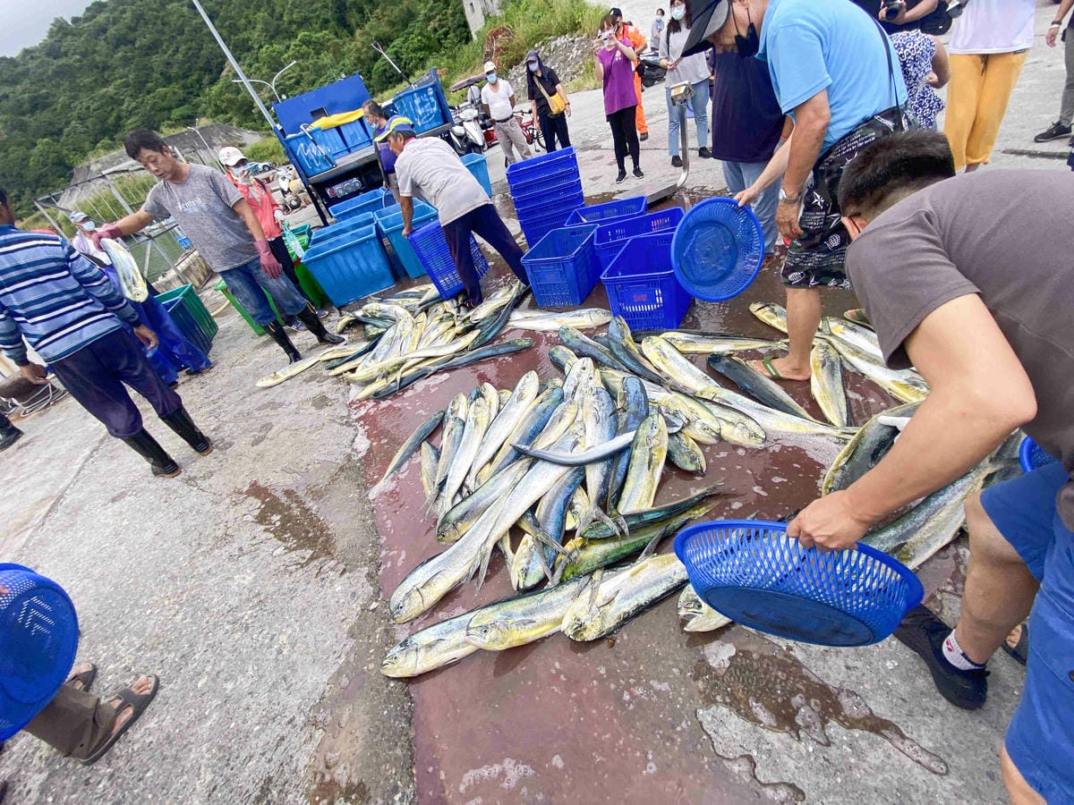 泰雅部落.金岳部落 (73).jpg 泰雅部落.金岳部落 (73).jpg