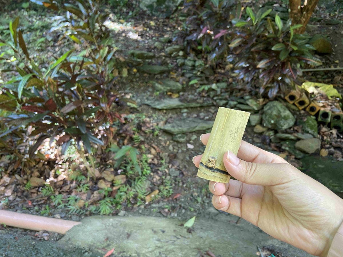 泰雅部落.金岳部落 (16).jpg 泰雅部落.金岳部落 (16).jpg