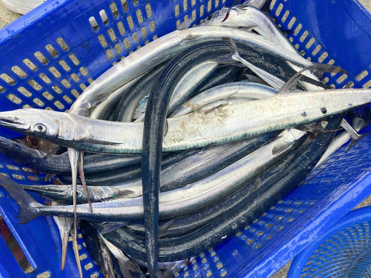 泰雅部落.金岳部落 (70).jpg 泰雅部落.金岳部落 (70).jpg