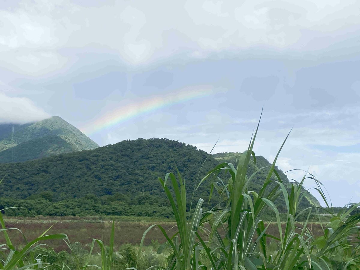 泰雅部落.金岳部落 (62).jpg 泰雅部落.金岳部落 (62).jpg