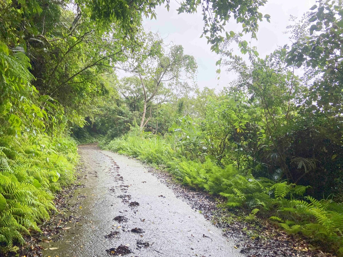 泰雅部落.金岳部落 (37).jpg 泰雅部落.金岳部落 (37).jpg