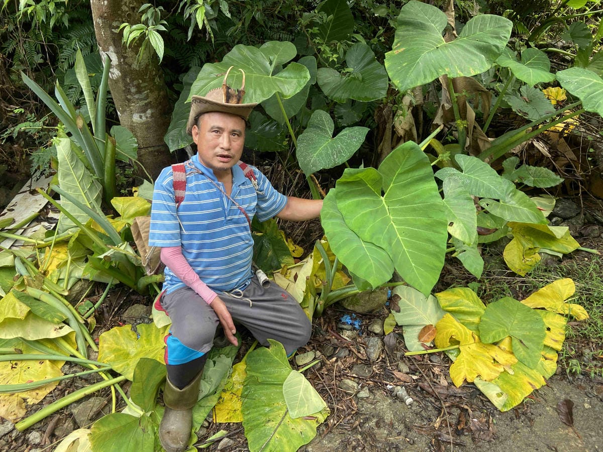 泰雅部落.金岳部落 (19).jpg 泰雅部落.金岳部落 (19).jpg