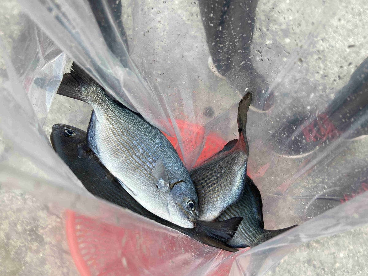 泰雅部落.金岳部落 (85).jpg 泰雅部落.金岳部落 (85).jpg