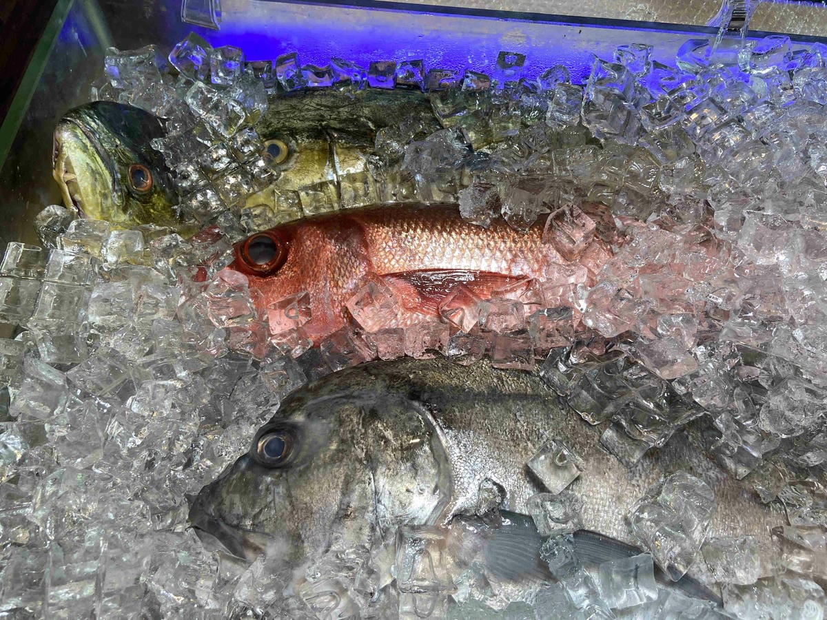 吉道水產 (75).jpg 吉道水產 (75).jpg