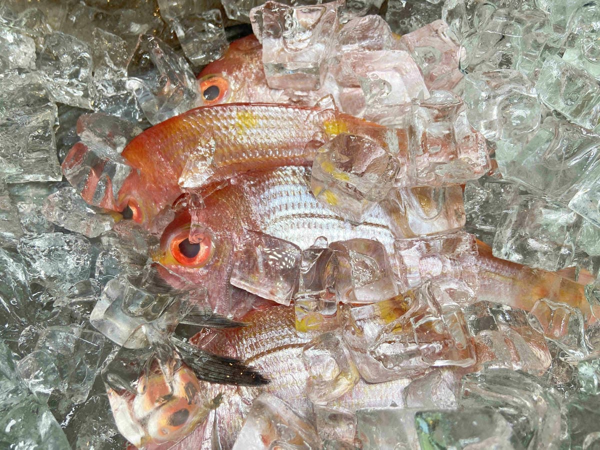 吉道水產 (77).jpg 吉道水產 (77).jpg