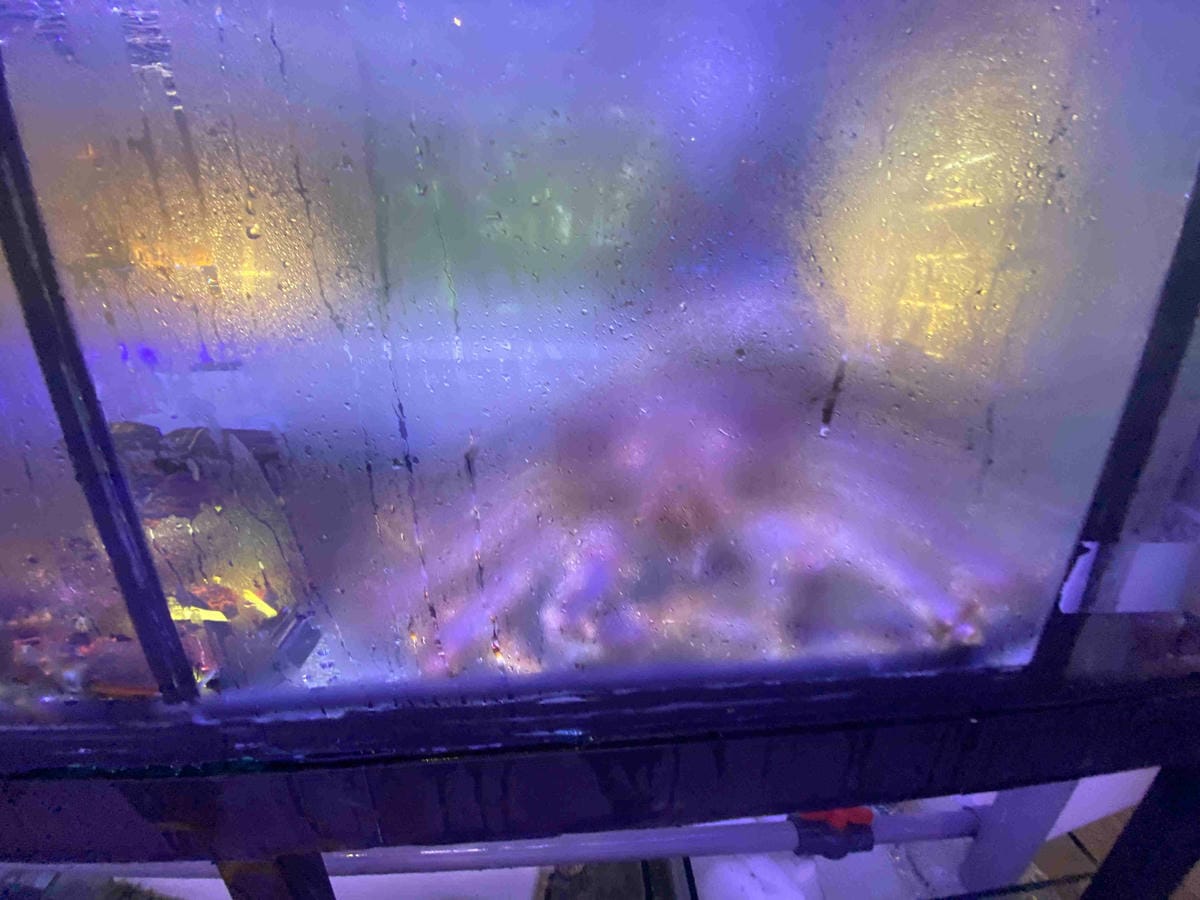 吉道水產 (15).jpg 吉道水產 (15).jpg