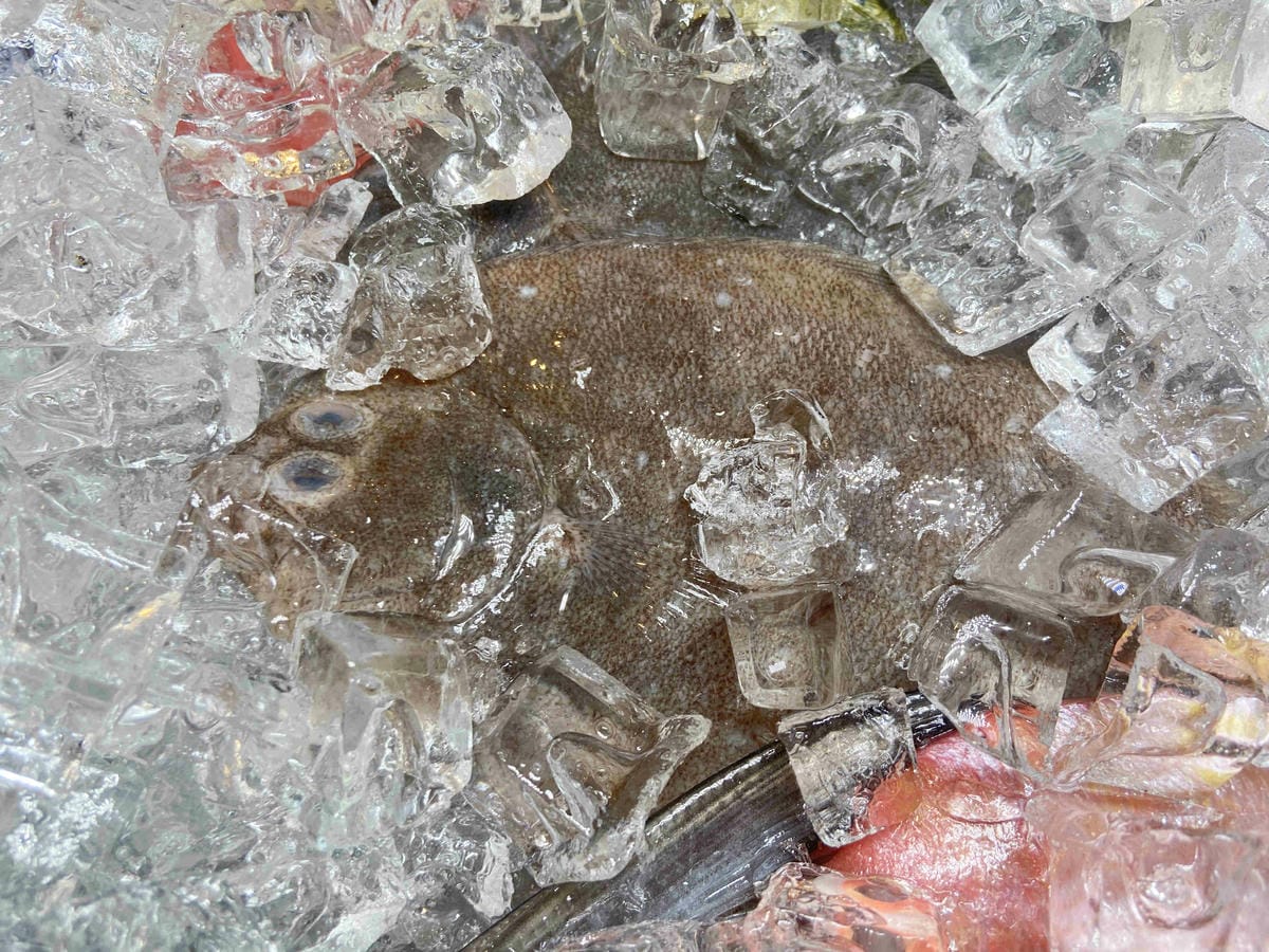 吉道水產 (76).jpg 吉道水產 (76).jpg