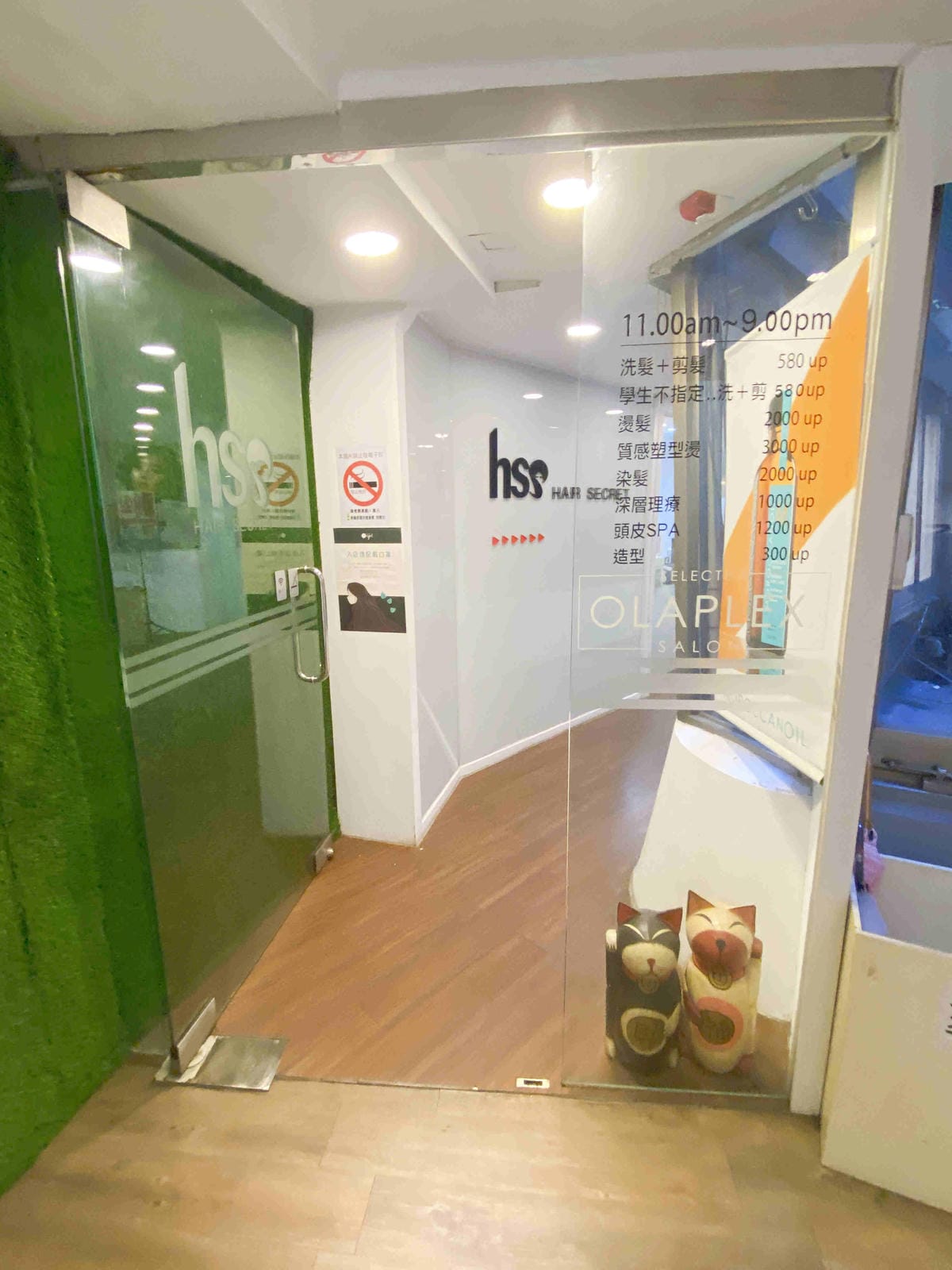 hss HAIR (2).jpg hss HAIR (2).jpg