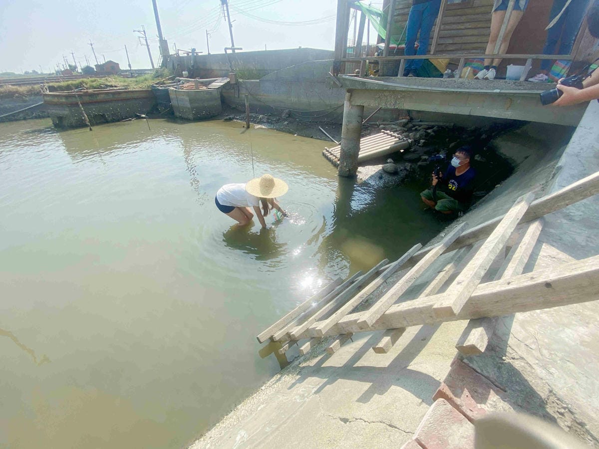 成龍社區.成龍濕地.捌貳 (12).jpg 成龍社區.成龍濕地.捌貳 (12).jpg