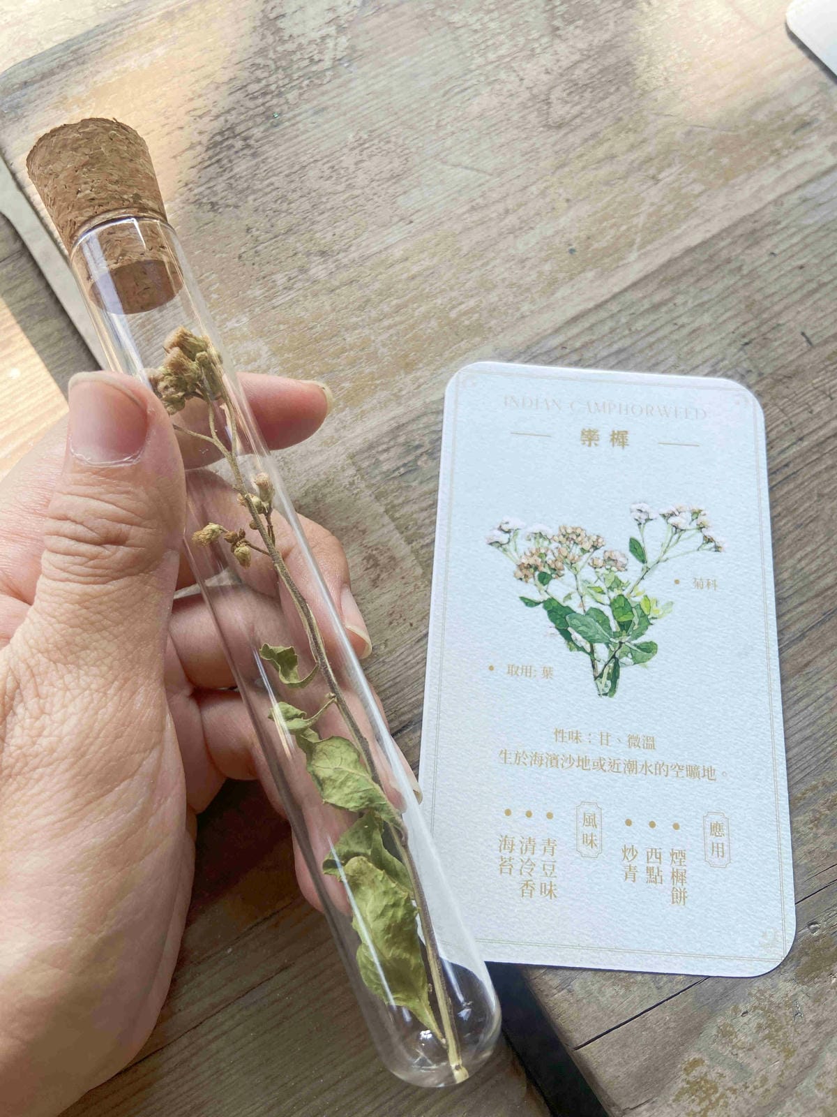 成龍社區.成龍濕地.捌貳 (26).jpg 成龍社區.成龍濕地.捌貳 (26).jpg