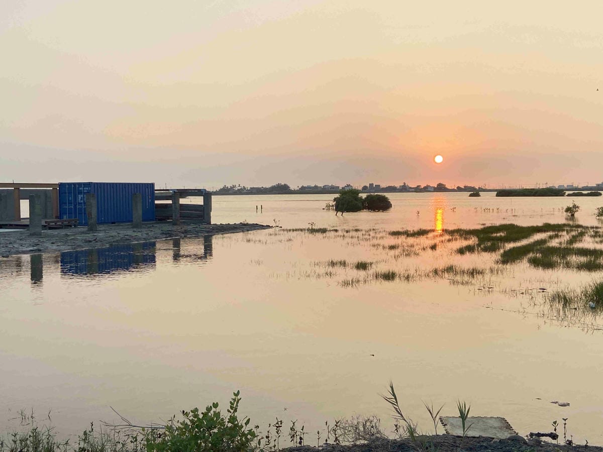 成龍社區.成龍濕地.捌貳 (78).jpg 成龍社區.成龍濕地.捌貳 (78).jpg