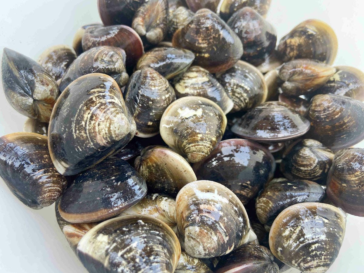 成龍社區.成龍濕地.捌貳 (6).jpg 成龍社區.成龍濕地.捌貳 (6).jpg