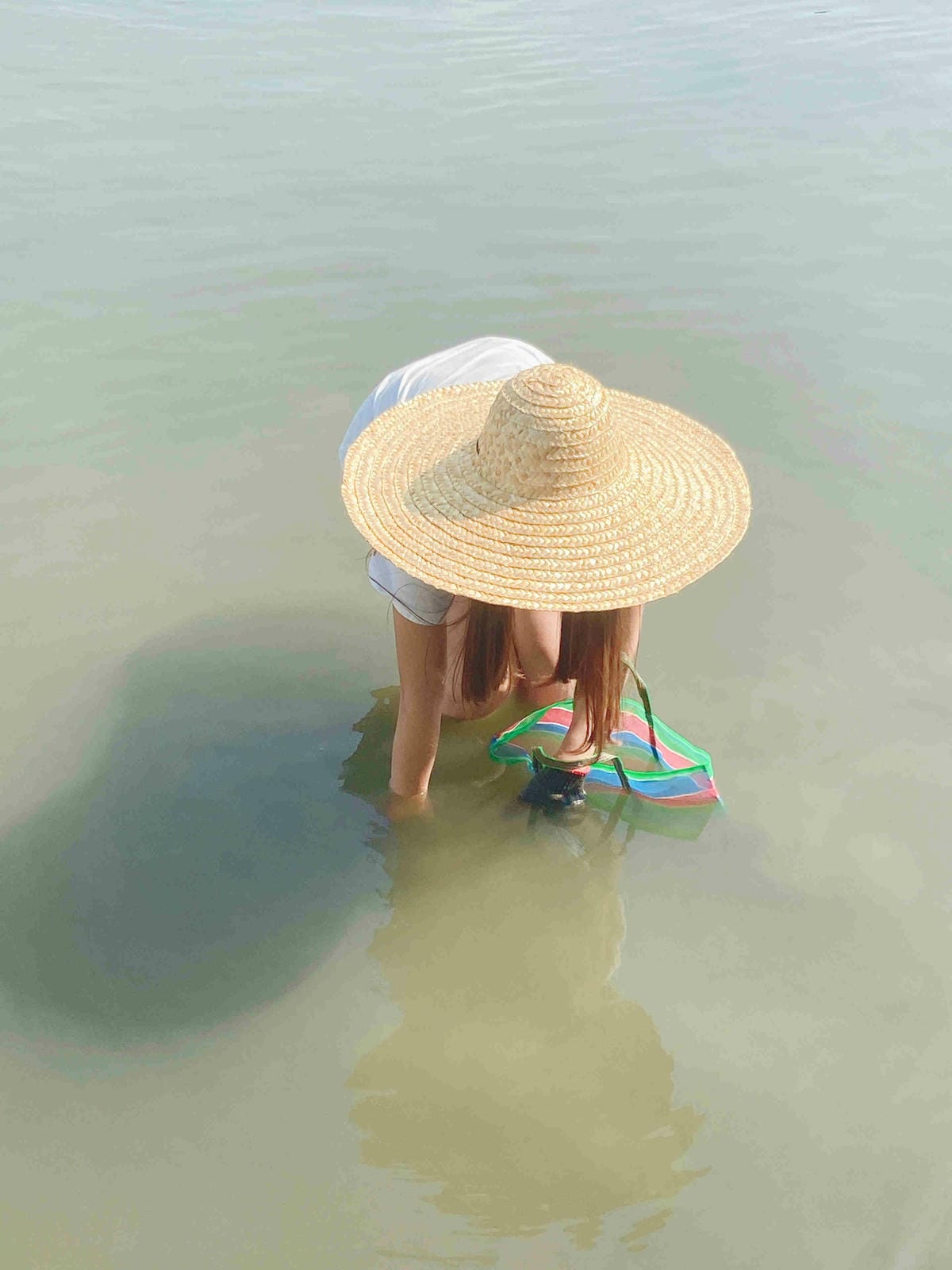 成龍社區.成龍濕地.捌貳 (16).jpg 成龍社區.成龍濕地.捌貳 (16).jpg