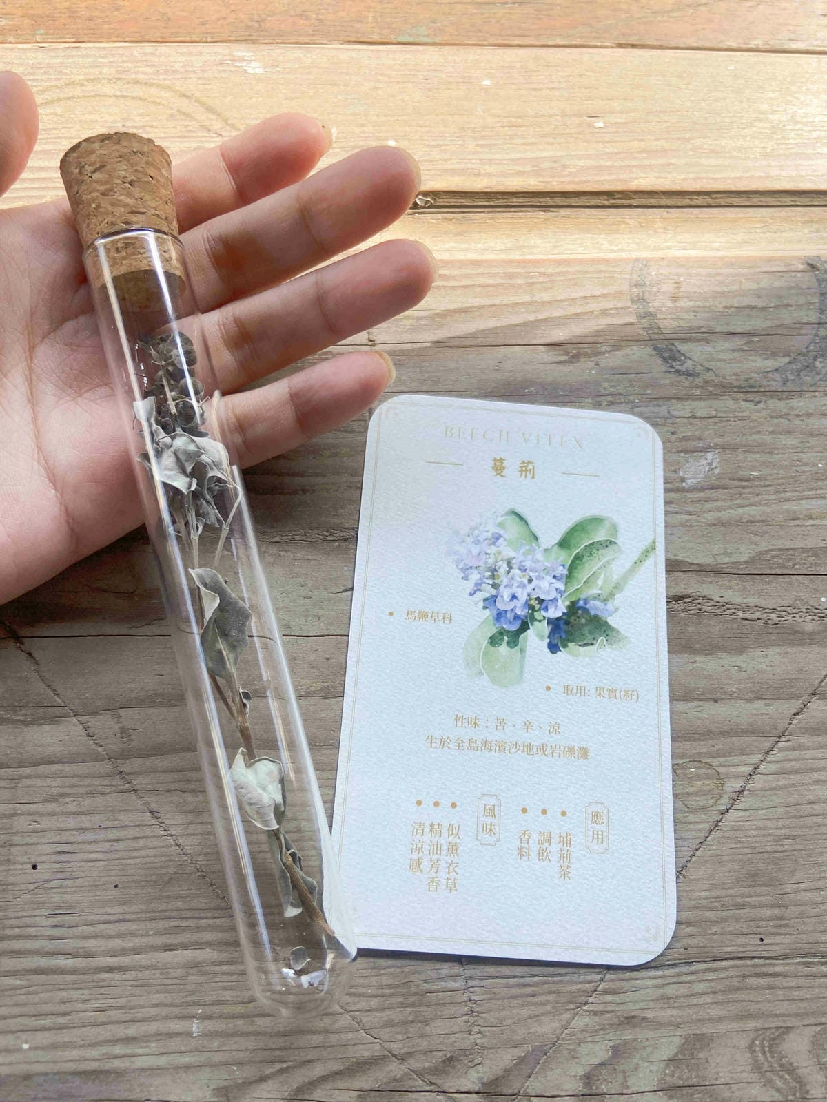 成龍社區.成龍濕地.捌貳 (27).jpg 成龍社區.成龍濕地.捌貳 (27).jpg