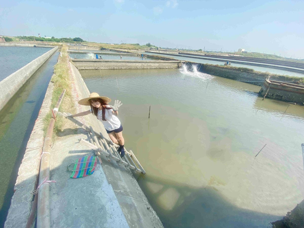 成龍社區.成龍濕地.捌貳 (11).jpg 成龍社區.成龍濕地.捌貳 (11).jpg