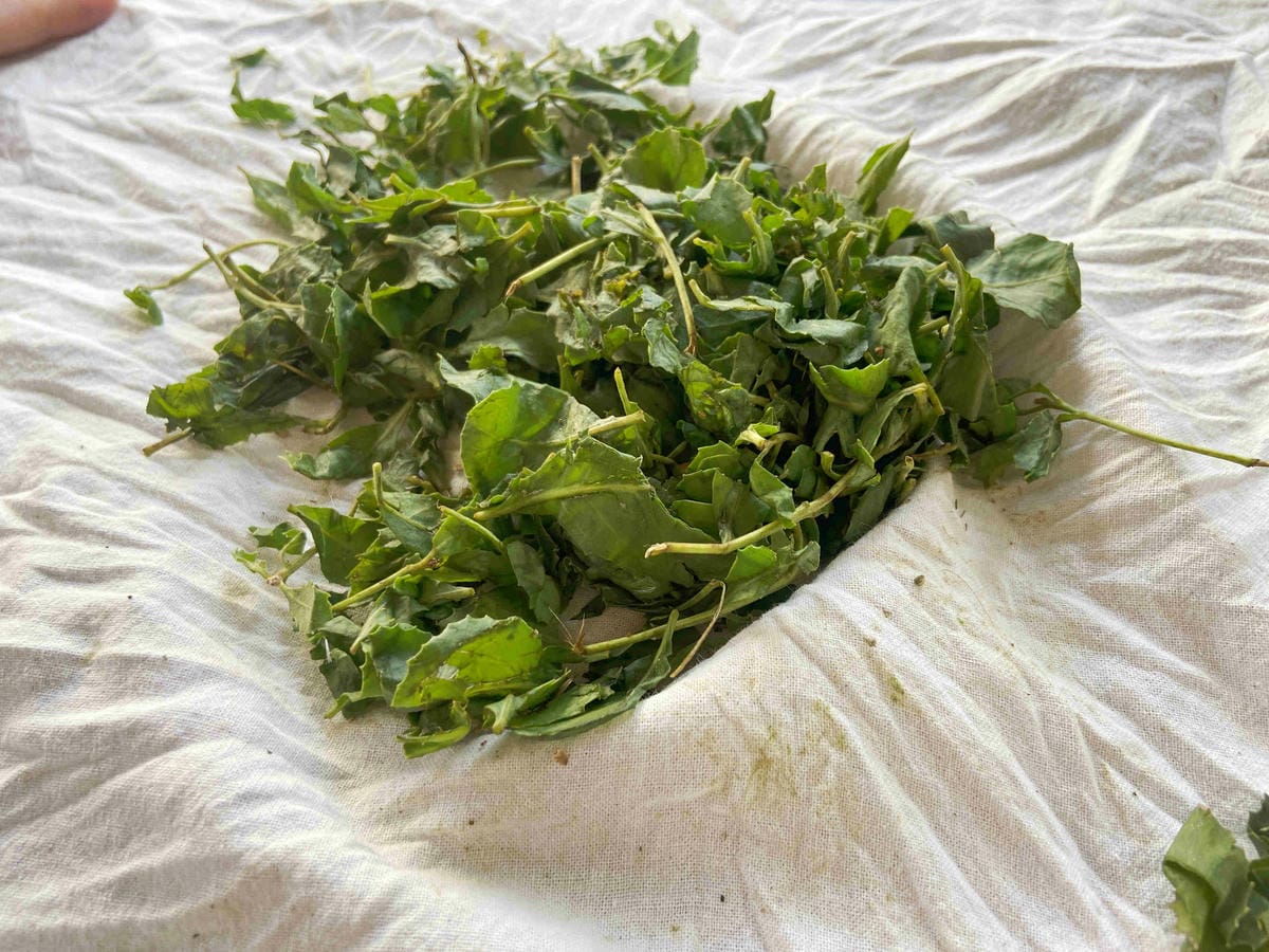 成龍社區.成龍濕地.捌貳 (56).jpg 成龍社區.成龍濕地.捌貳 (56).jpg