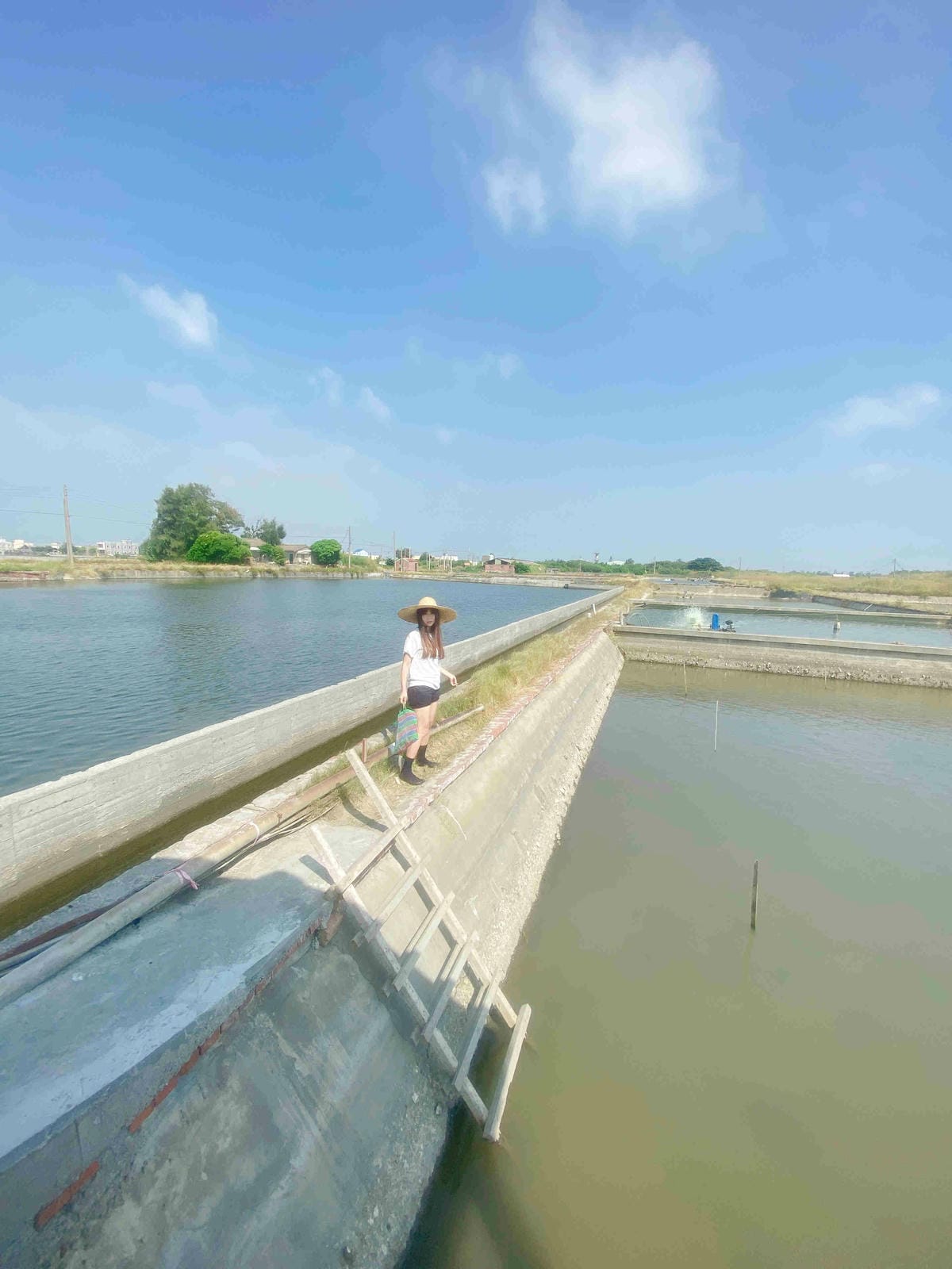 成龍社區.成龍濕地.捌貳 (10).jpg 成龍社區.成龍濕地.捌貳 (10).jpg