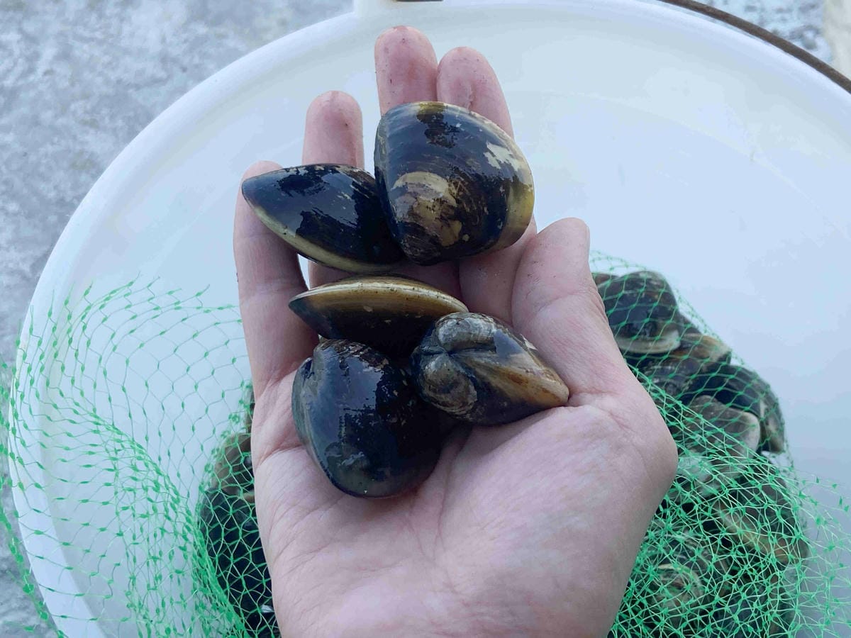 成龍社區.成龍濕地.捌貳 (5).jpg 成龍社區.成龍濕地.捌貳 (5).jpg