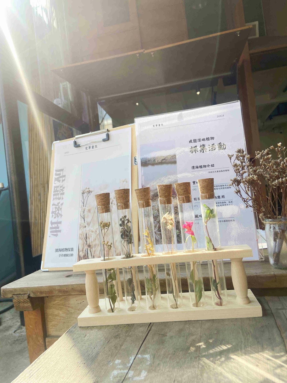 成龍社區.成龍濕地.捌貳 (32).jpg 成龍社區.成龍濕地.捌貳 (32).jpg