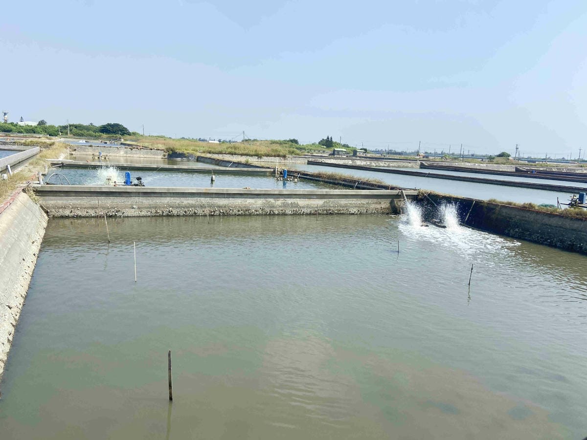 成龍社區.成龍濕地.捌貳 (3).jpg 成龍社區.成龍濕地.捌貳 (3).jpg