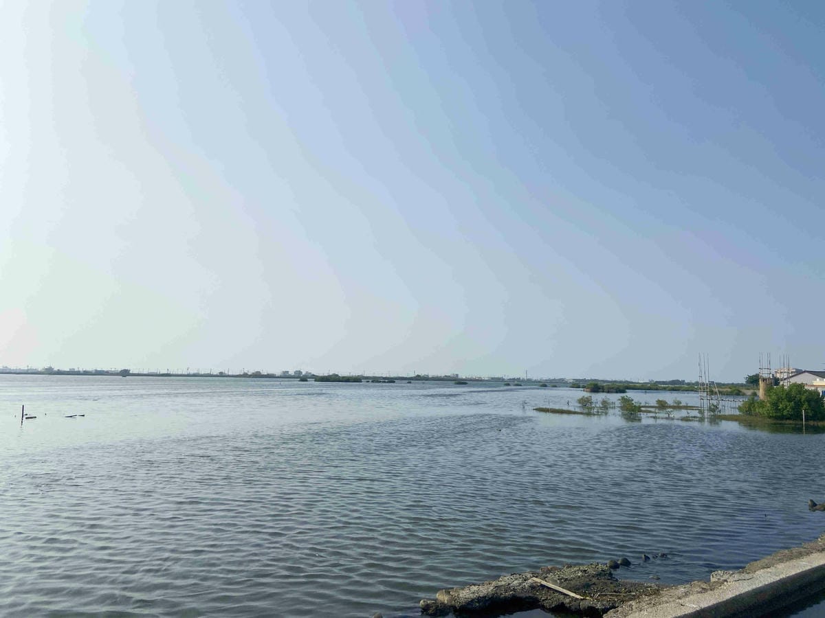 成龍社區.成龍濕地.捌貳 (41).jpg 成龍社區.成龍濕地.捌貳 (41).jpg