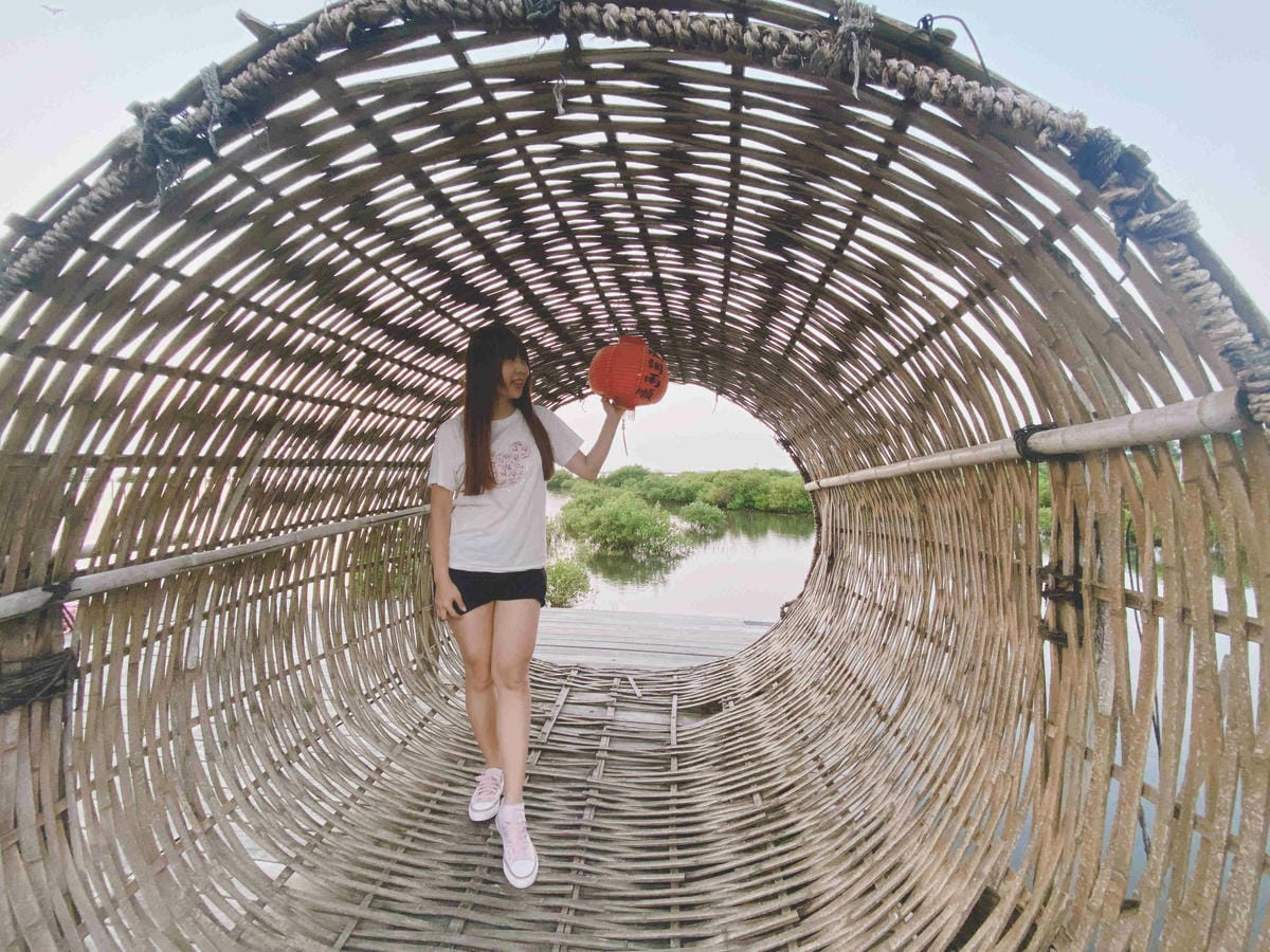 成龍社區.成龍濕地.捌貳 (81).jpg 成龍社區.成龍濕地.捌貳 (81).jpg