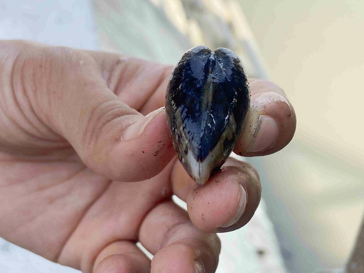 成龍社區.成龍濕地.捌貳 (7).jpg 成龍社區.成龍濕地.捌貳 (7).jpg