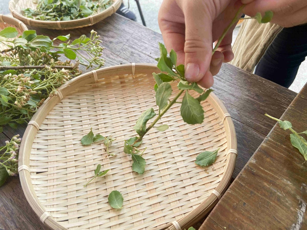 成龍社區.成龍濕地.捌貳 (46).jpg 成龍社區.成龍濕地.捌貳 (46).jpg