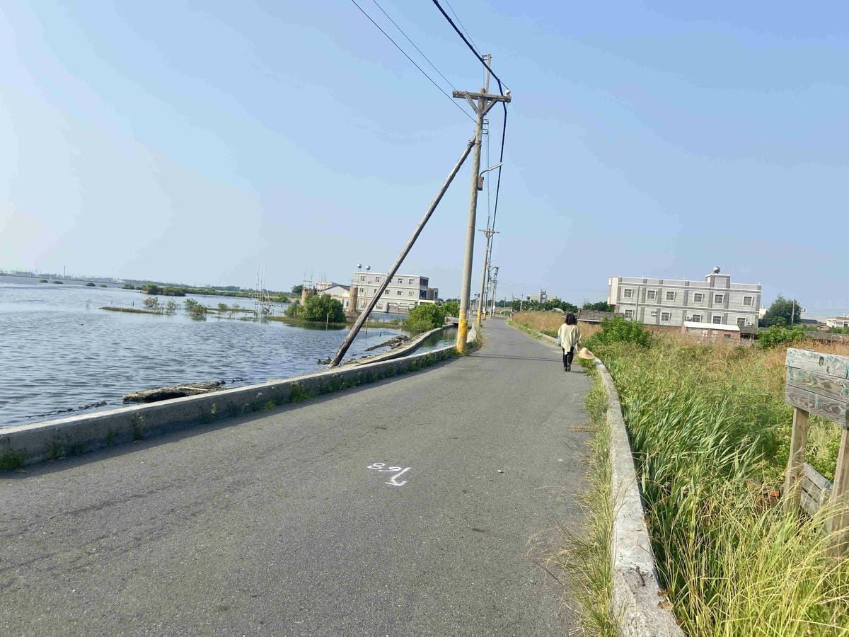 成龍社區.成龍濕地.捌貳 (40).jpg 成龍社區.成龍濕地.捌貳 (40).jpg