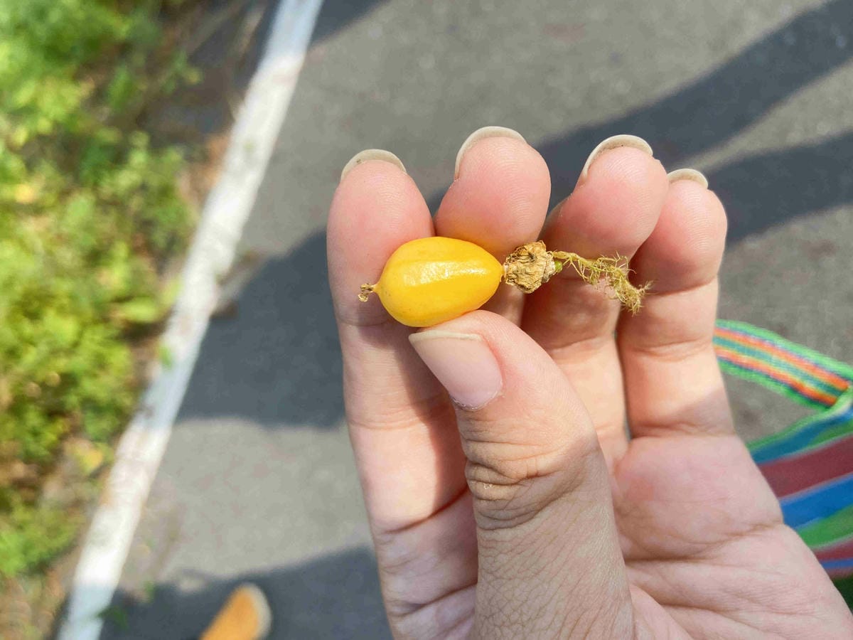 成龍社區.成龍濕地.捌貳 (37).jpg 成龍社區.成龍濕地.捌貳 (37).jpg