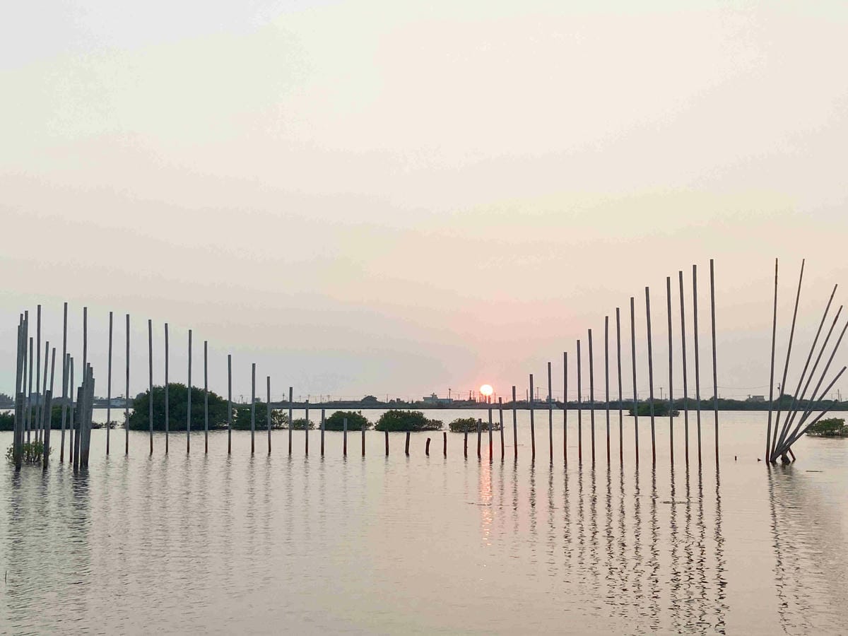 成龍社區.成龍濕地.捌貳 (80).jpg 成龍社區.成龍濕地.捌貳 (80).jpg