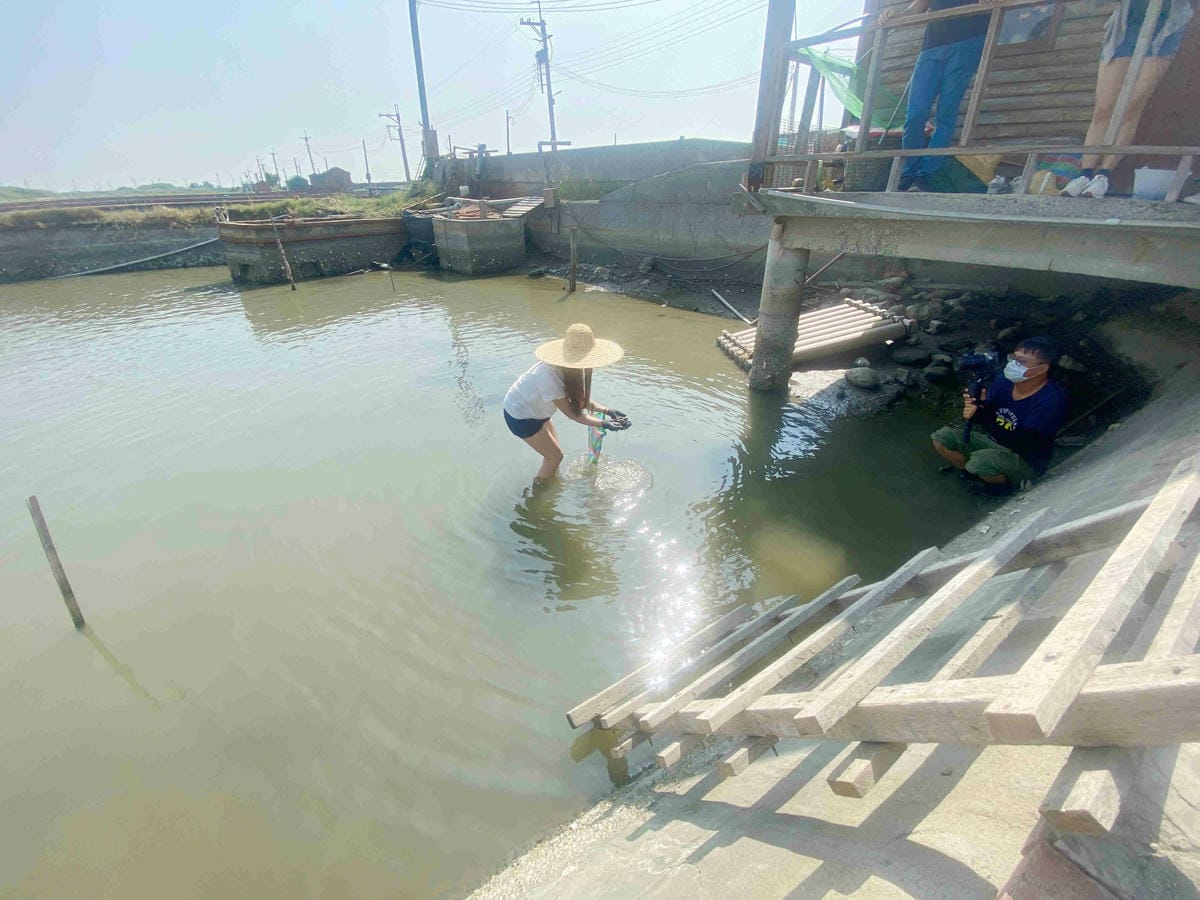 成龍社區.成龍濕地.捌貳 (13).jpg 成龍社區.成龍濕地.捌貳 (13).jpg