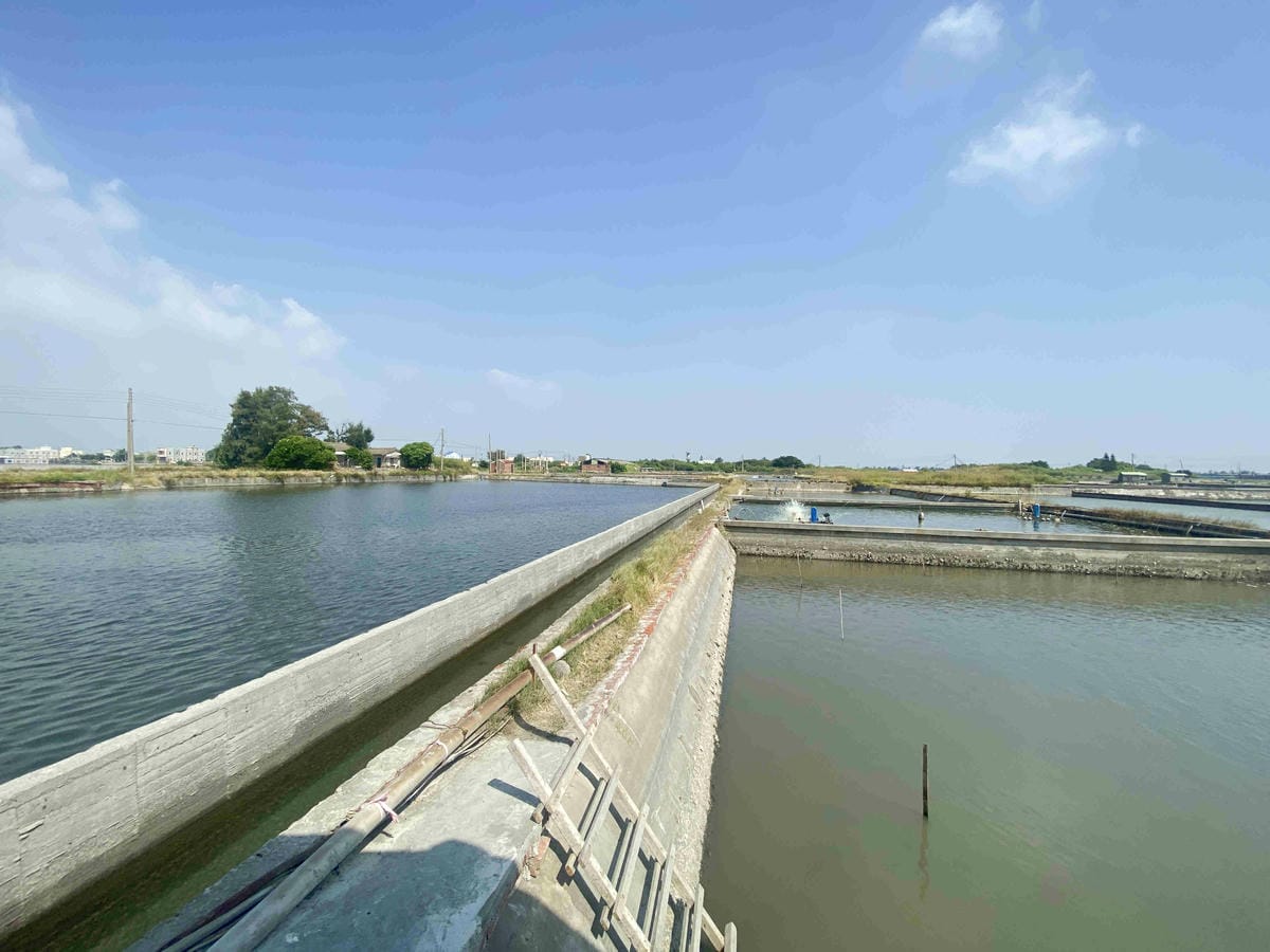 成龍社區.成龍濕地.捌貳 (2).jpg 成龍社區.成龍濕地.捌貳 (2).jpg