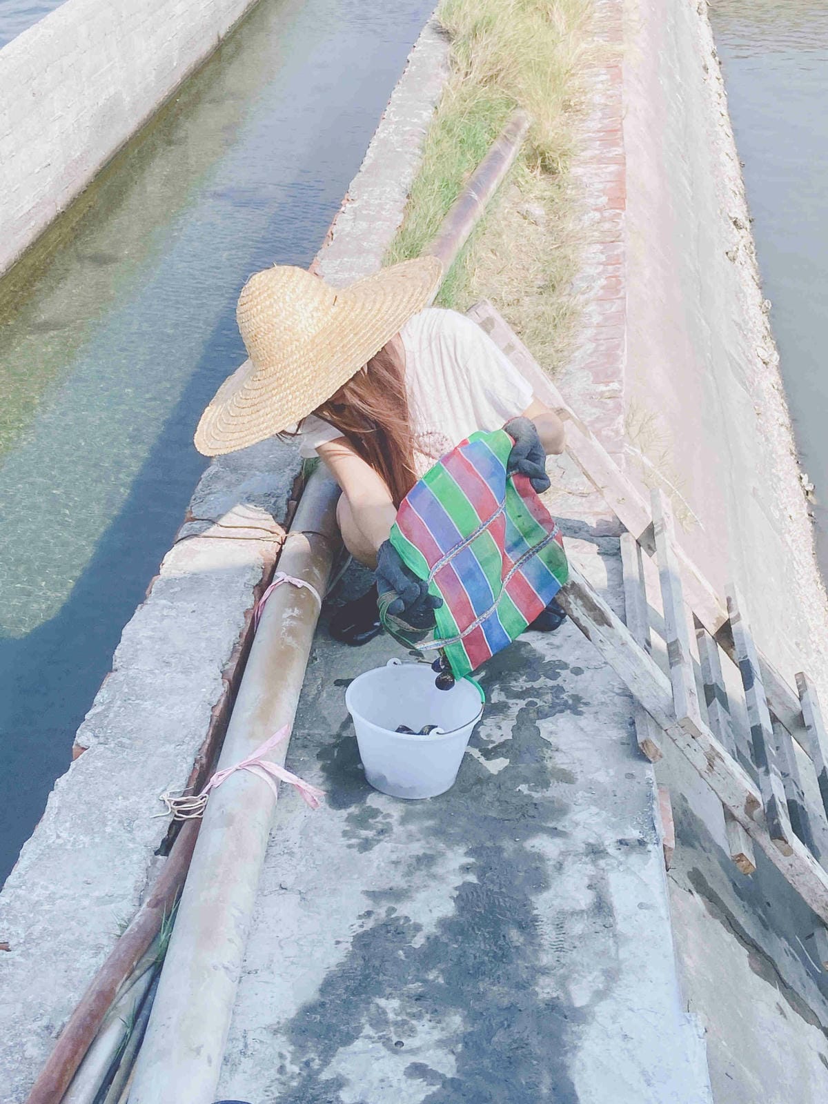 成龍社區.成龍濕地.捌貳 (19).jpg 成龍社區.成龍濕地.捌貳 (19).jpg